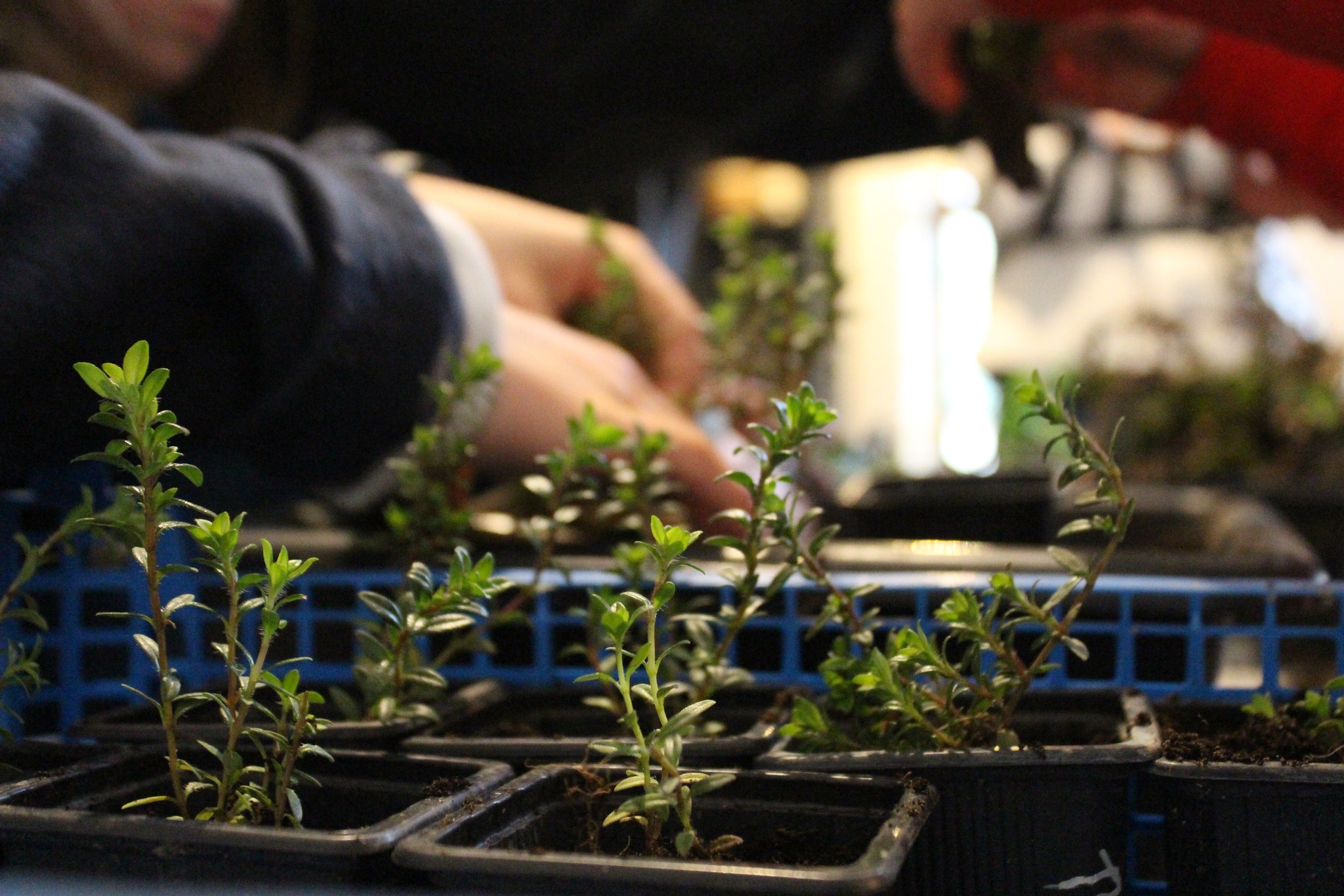 Lire la suite à propos de l’article 👨‍🌾✂️🌳OUF du jardin avec Jérôme GOUST